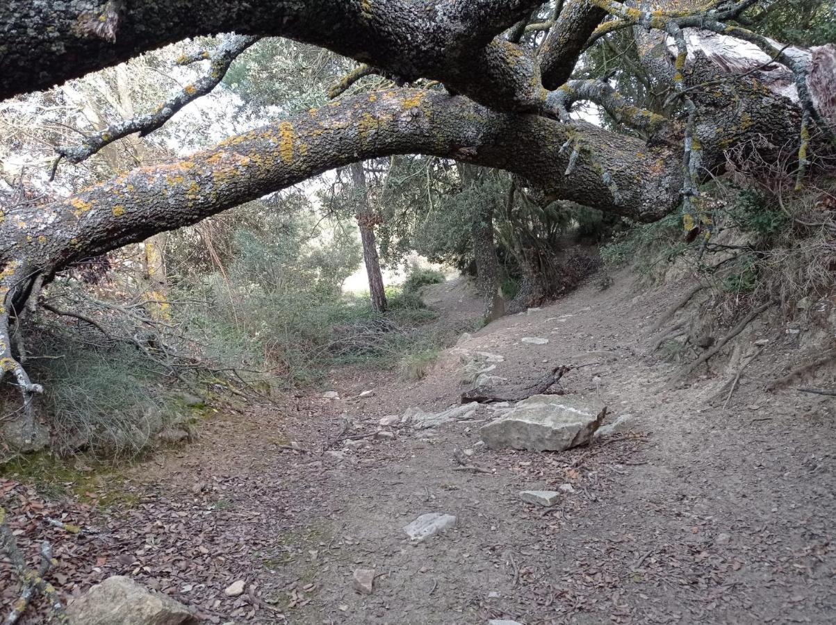 Apartamentos Casa Rural El Ventanico Olocau del Rey Εξωτερικό φωτογραφία